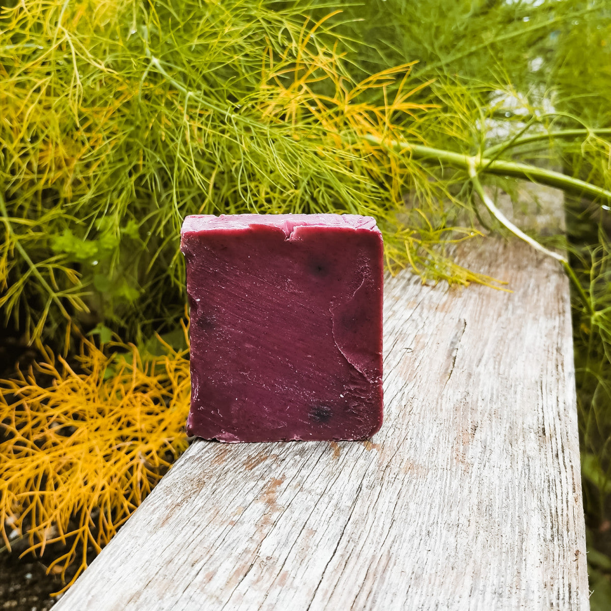 NARDIAS Anti Aging Seife - Kokosöl, Moringa, Zeolith