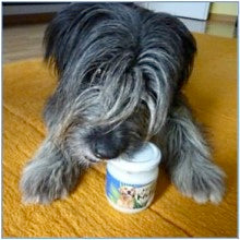 NARDIAS Kokosöl für Haustiere 220ml Art.610