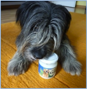 NARDIAS Kokosöl gegen Zecken und Würmer Tiere 220ml Art. 612