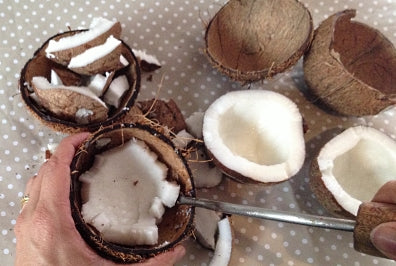 NARDIAS Kokosbrecher, Kokosfleisch Auslöser "Luger"