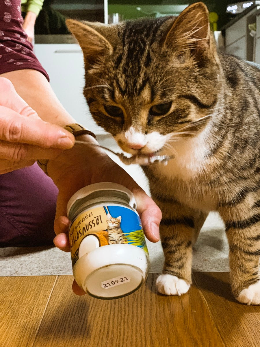 NARDIAS Kokosöl gegen Zecken und Würmer Tiere 220ml Art. 612