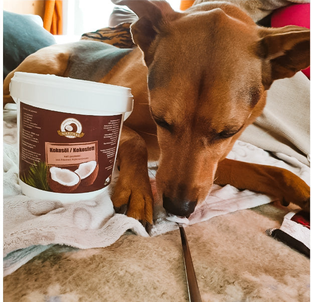 NARDIAS Kokosöl gegen Zecken und Würmer Tiere 220ml Art. 612