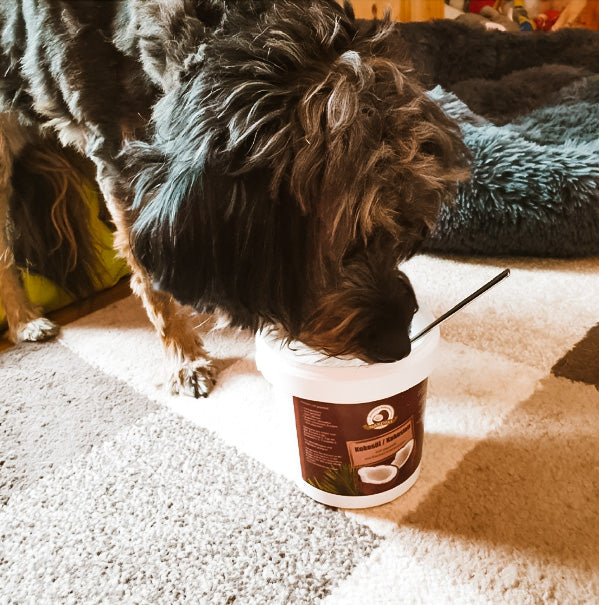 NARDIAS Kokosöl für Haustiere im Sparpaket 3 x Kokosöl  220ml  Art.P610