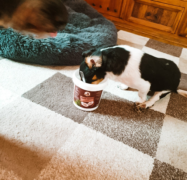 NARDIAS Kokosöl für Haustiere im Sparpaket 3 x Kokosöl  220ml  Art.P610