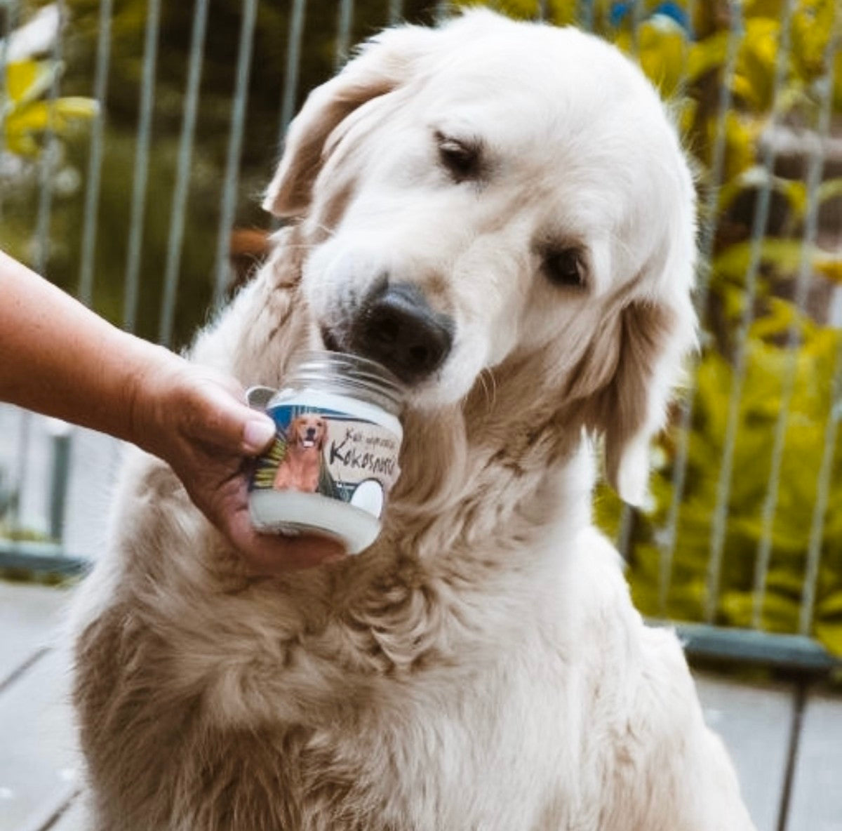 NARDIAS Kokosöl gegen Zecken und Würmer Tiere 220ml Art. 612