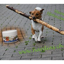 NARDIAS Kokosöl für Haustiere 220ml Art.610