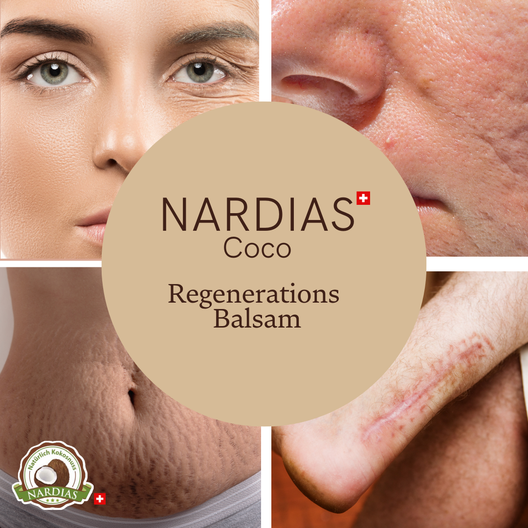 NARDIAS SheaKokos Regenerationsbalsam im klassischen Kunststofftiegel