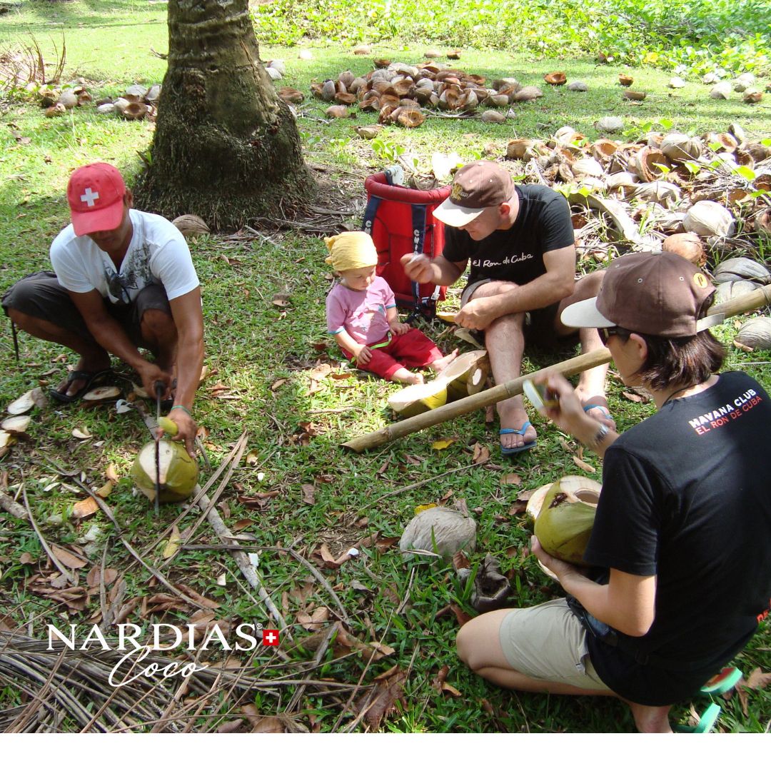 Kokosöl Naturseife mit tropischem Kokosduft | NARDIAS